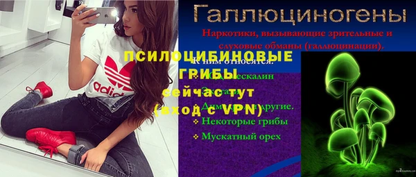 стаф Кострома