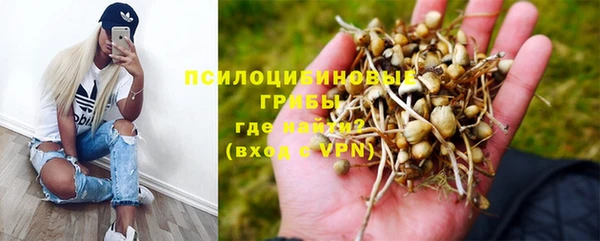 первитин Лабытнанги