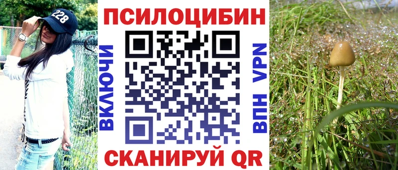 Псилоцибиновые грибы мухоморы  кракен tor  Стерлитамак 