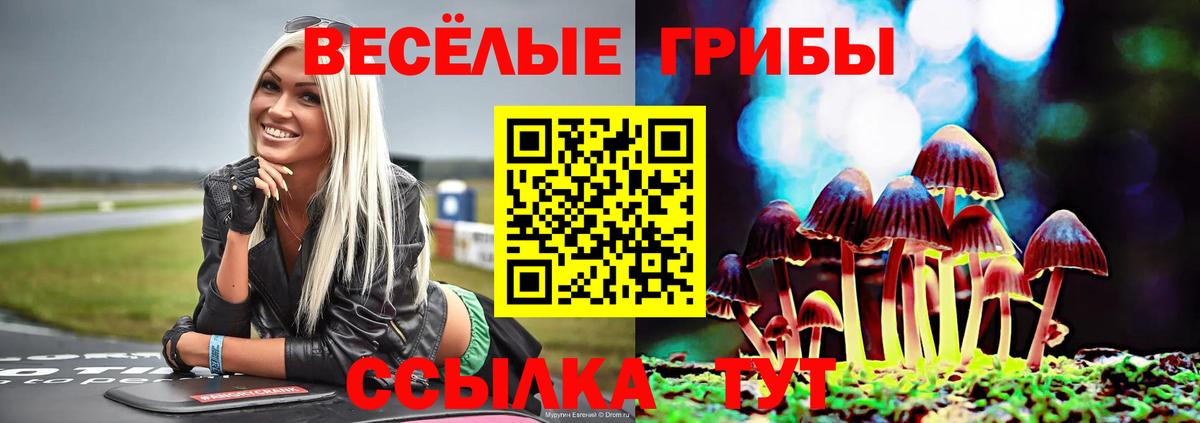 Псилоцибиновые грибы ЛСД  Стерлитамак 