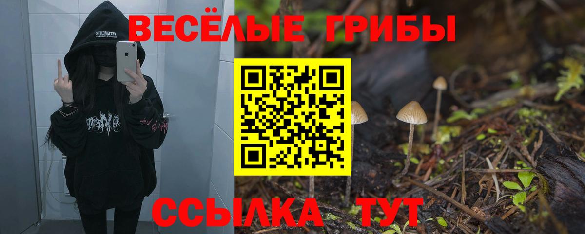 Псилоцибиновые грибы MAGIC MUSHROOMS Стерлитамак