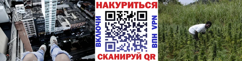 Марихуана индика  как найти наркотики  Стерлитамак 