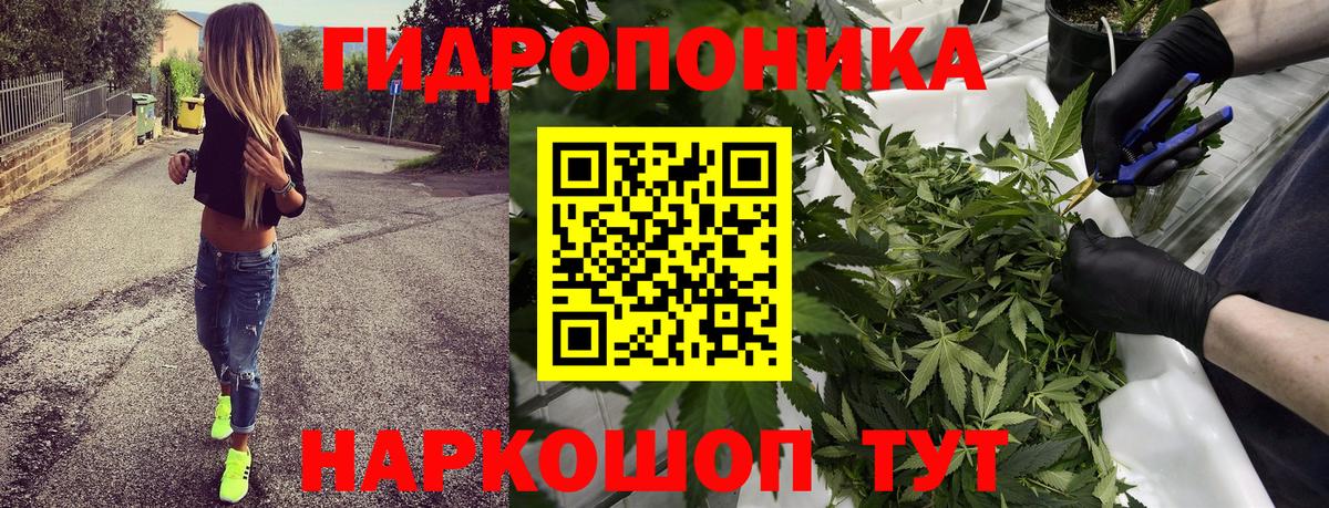 Марихуана марихуана  Вход с VPN  МАРИХУАНА SATIVA & INDICA  Стерлитамак 